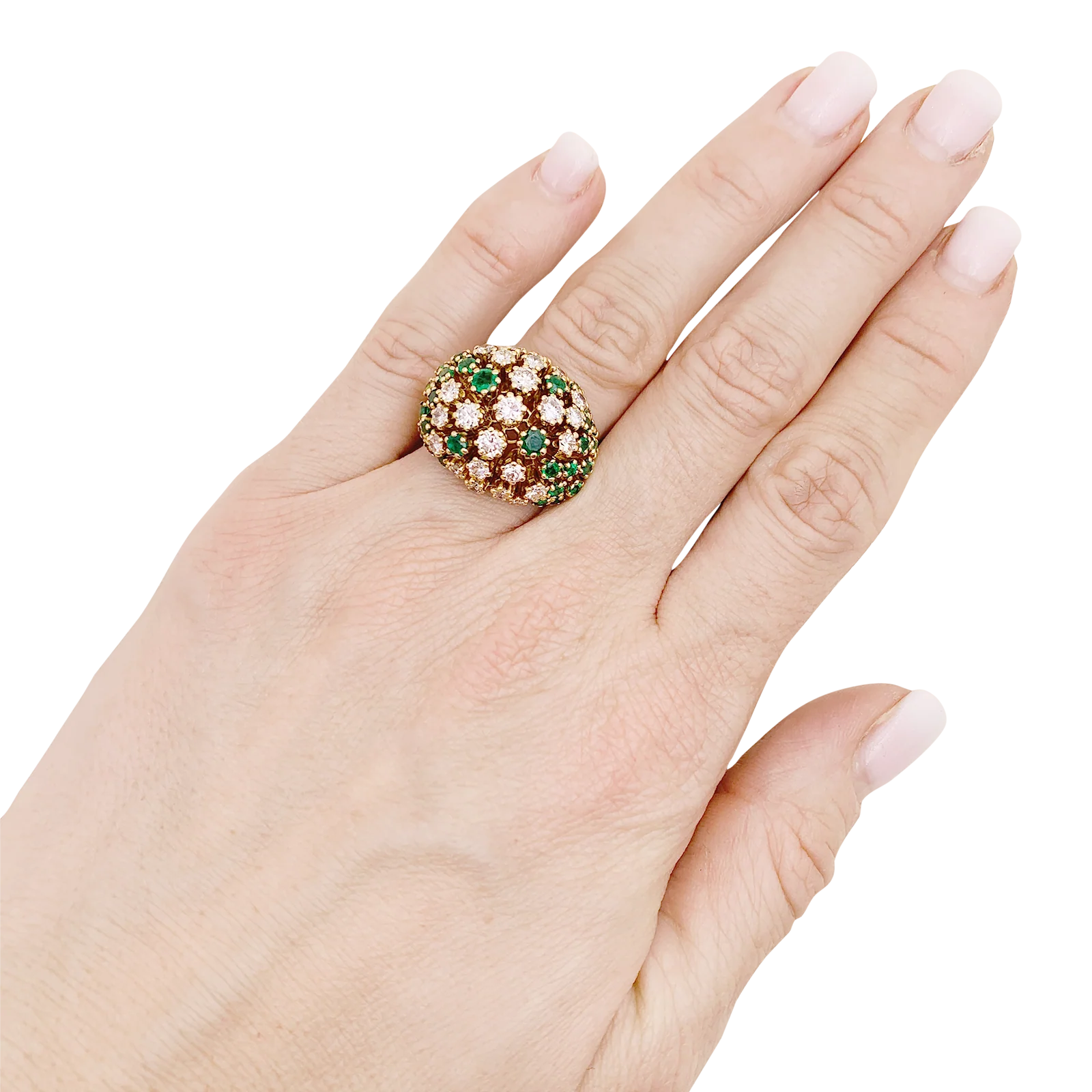 Miniature 5